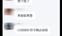 爆料哥今日头条视频回放,热门事件背后真相曝光