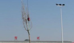 火车站广场爆料视频大全,一窥城市生活百态