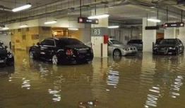 暴雨车库爆料视频最新,车库惊现惊人一幕！