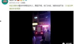 濉溪爆料视频,真实事件背后的惊人真相