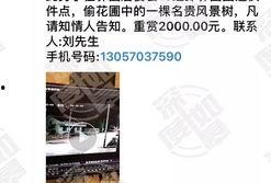 被人爆料的视频怎么处理,事件始末与各方观点汇总