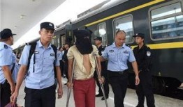 肇庆公安局爆料信息最新,严打犯罪，守护市民安全！”