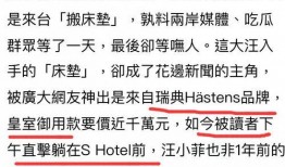 张兰爆料完整语音视频,完整内容深度解析