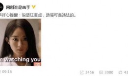爆料杨紫偷税漏税视频,税务问题引发娱乐圈热议