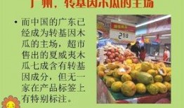 谁爆料转基因食品了视频,揭秘者爆料视频曝光