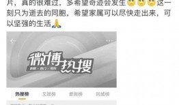 九号最新产品爆料事件真相,科技巨头新动向大揭秘