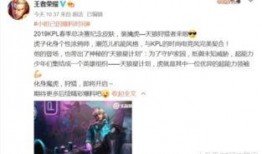 表哥皮肤爆料视频下载大全,尽览最新游戏风采