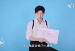 王岳的历史爆料视频,揭开尘封往事的神秘面纱