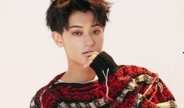 黄子韬爆料韩国女星视频,真相背后引人深思