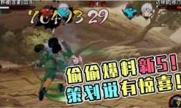 火影仙狐爆料视频,揭秘忍者世界神秘面纱