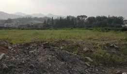 全州咸水乡村爆料视频大全,揭秘乡村爆料视频背后的真实故事