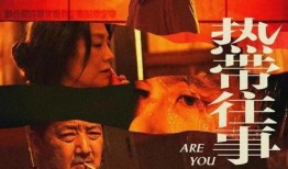 15电影在线观看,畅享视听盛宴，尽在指尖