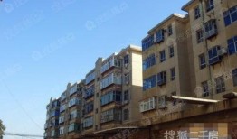 石家庄房子爆料事件视频,揭秘真实市场动态