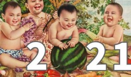 娱乐吃瓜图鉴,揭秘明星幕后故事