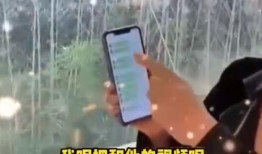 张兰爆料完整语音视频,完整内容深度解析