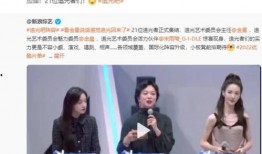 唐佳丽被爆料视频大全最新,揭秘背后真相与争议