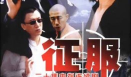 电视剧征服全集在线观看,权力与欲望的较量全集在线观看攻略