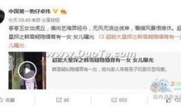 卓伟爆料头条新闻视频下载