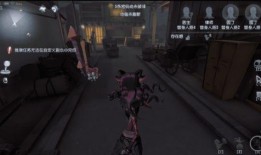 第五人格新珍华爆料视频,神秘角色与惊悚剧情抢先看