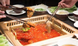 平城美食爆料视频大全下载,视频大全带你领略地道风味