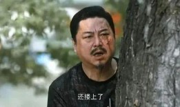 扒叔爆料平哥是谁呀视频,平哥身份之谜，视频爆料引热议