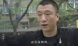 电视剧征服全集在线观看,权力与欲望的较量全集在线观看攻略