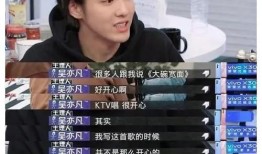 爆料杨紫偷税漏税视频,税务问题引发娱乐圈热议