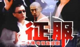 电视剧征服全集在线观看,权力与欲望的较量全集在线观看攻略