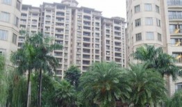 郑州光星苑最新爆料,揭秘神秘项目背后的真相与未来展望